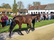 NH220326-20 - Thewoodcorner